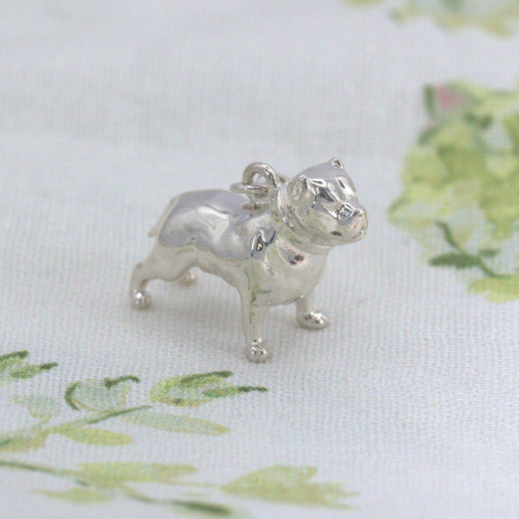 Pitbull - MYLEE London